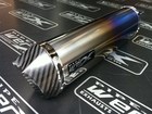 YZF 1000 Thunderace All Models Pipe Werx Colour Titanium Oval CarbonEdge Street Legal Exhaust