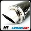 Hawk GP SL Exhausts